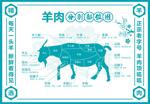 羊肉分割图