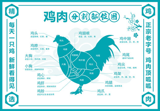 鸡肉分割图