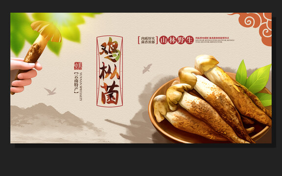 鸡枞菌