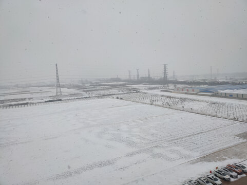 雪地