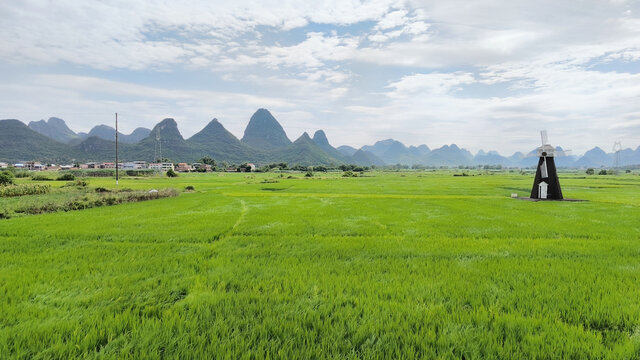 柳州乡村稻田