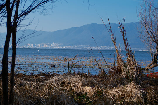 大理洱海