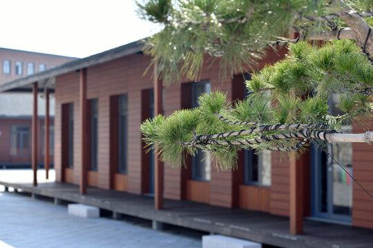 平房小院