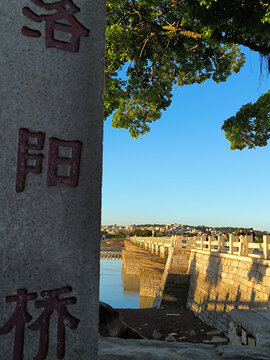 洛阳桥掠影