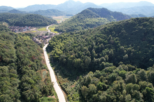 森林马路