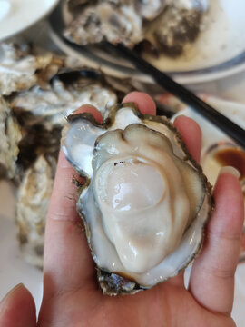 生蚝