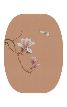 玉兰花蝴蝶