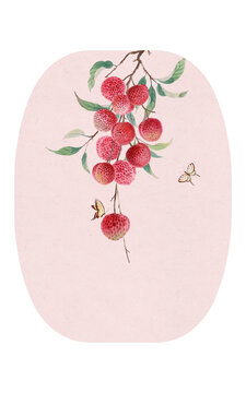 古风荔枝插画