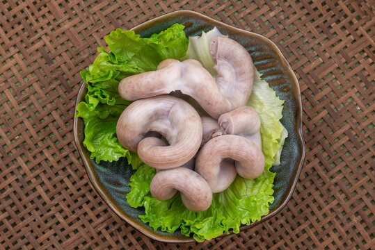 生肠