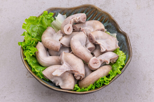 生肠