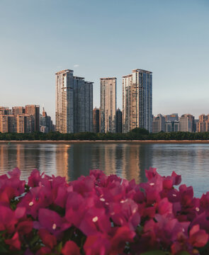 花与建筑