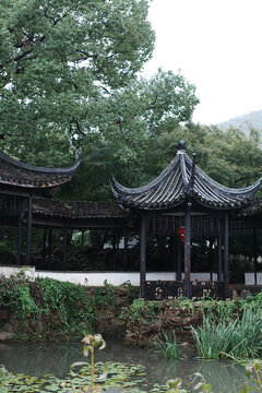 庭院