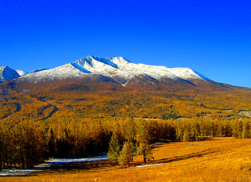 喀纳斯雪山