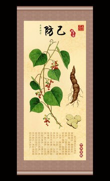 防己插画
