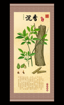 沉香插画