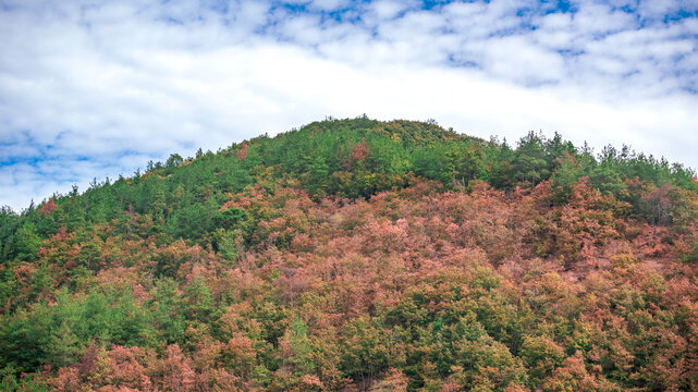 湖北十堰武当山