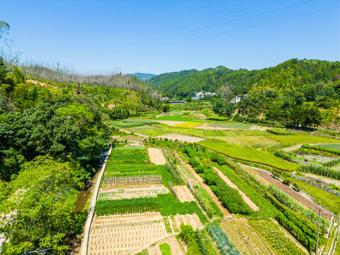 乡村田野
