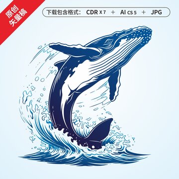 鲸鱼