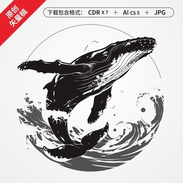 海洋生物鲸鱼
