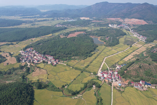 稻田村庄大山美景