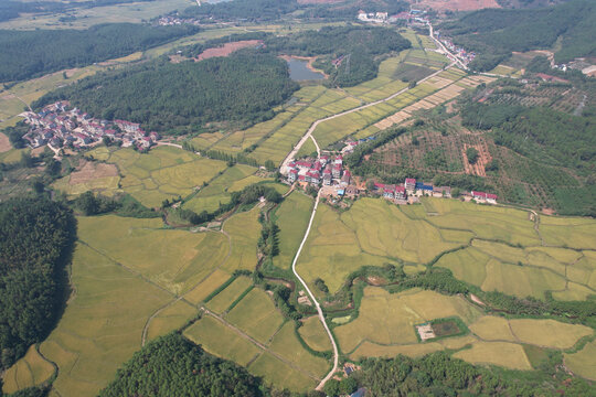 稻田村庄大山美景