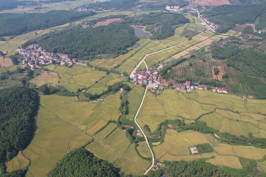 稻田村庄大山美景