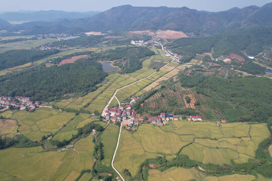 稻田村庄大山美景