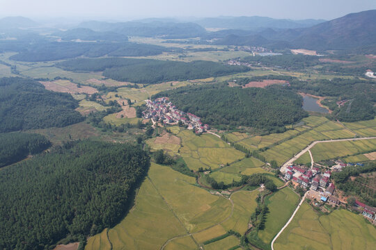 稻田村庄大山美景
