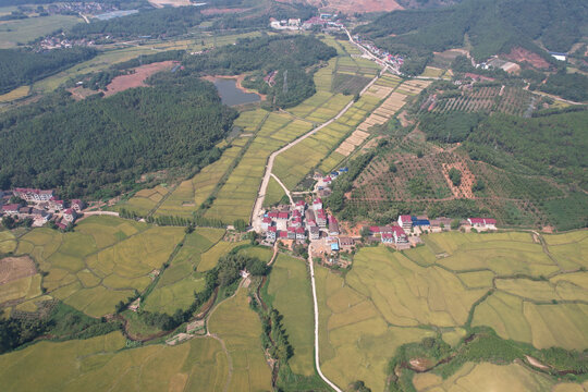 稻田村庄大山美景