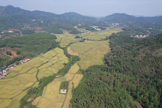 稻田村庄大山美景
