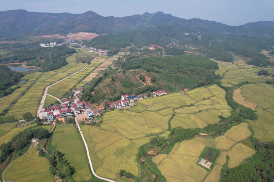 稻田村庄大山美景