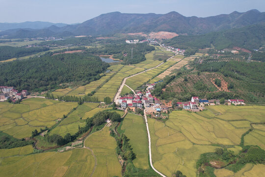 稻田村庄大山美景