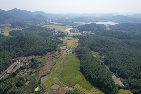 稻田村庄大山美景
