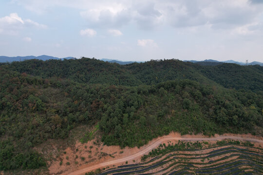 秋景大山