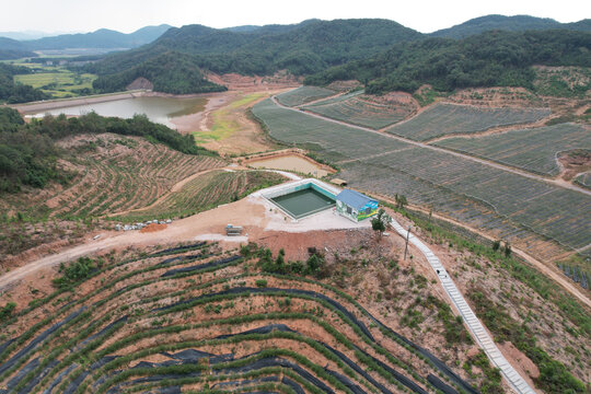 蓝莓基地航拍