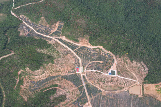 蓝莓种植场地基地