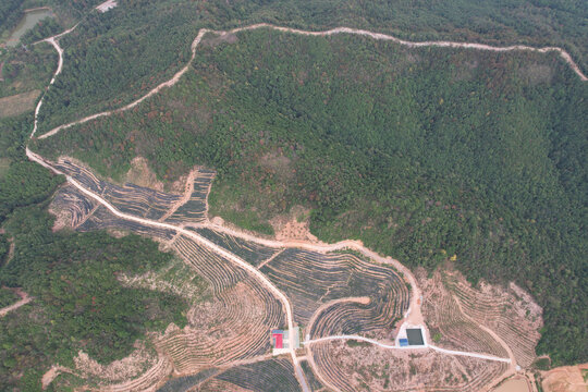 蓝莓种植场地基地