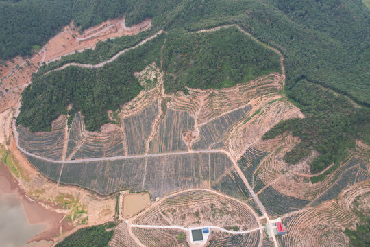 蓝莓种植场地基地