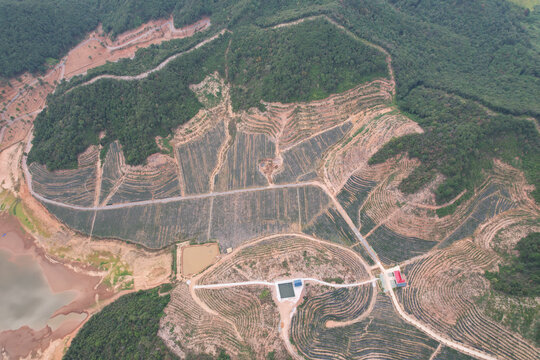 蓝莓种植场地基地