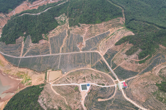 蓝莓种植场地基地