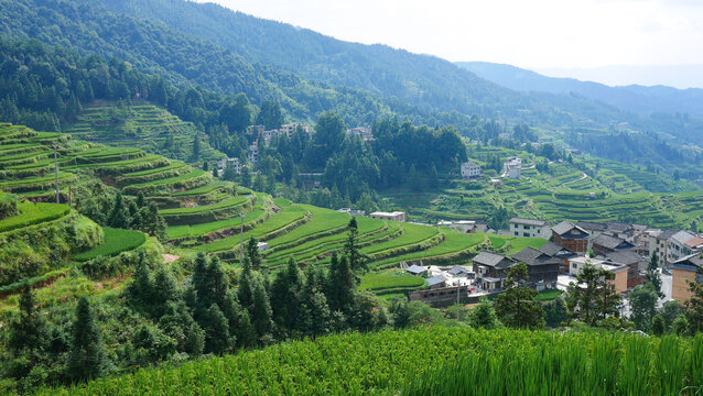 贵州堂安梯田