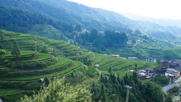 贵州堂安梯田