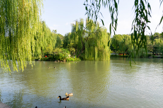 扬州瘦西湖景色
