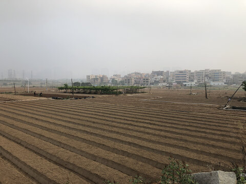 农田