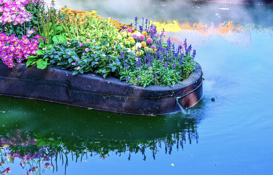 水上花园的梦幻景象花船上的花海