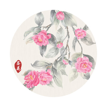 水墨茶花