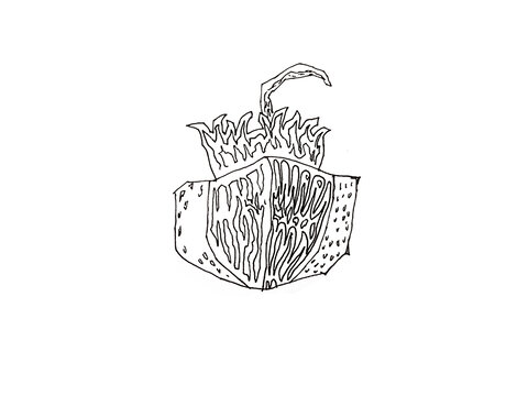干墨鱼
