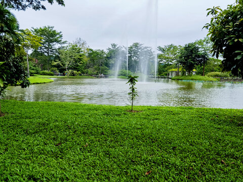 园林景观水系