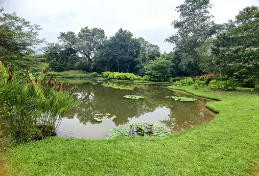 莲花池