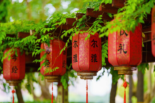 尔雅红灯笼